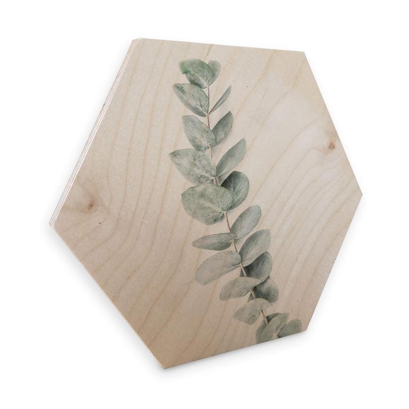 Hexagon Hout - Sisi & Seb - Takje Eucalyptus