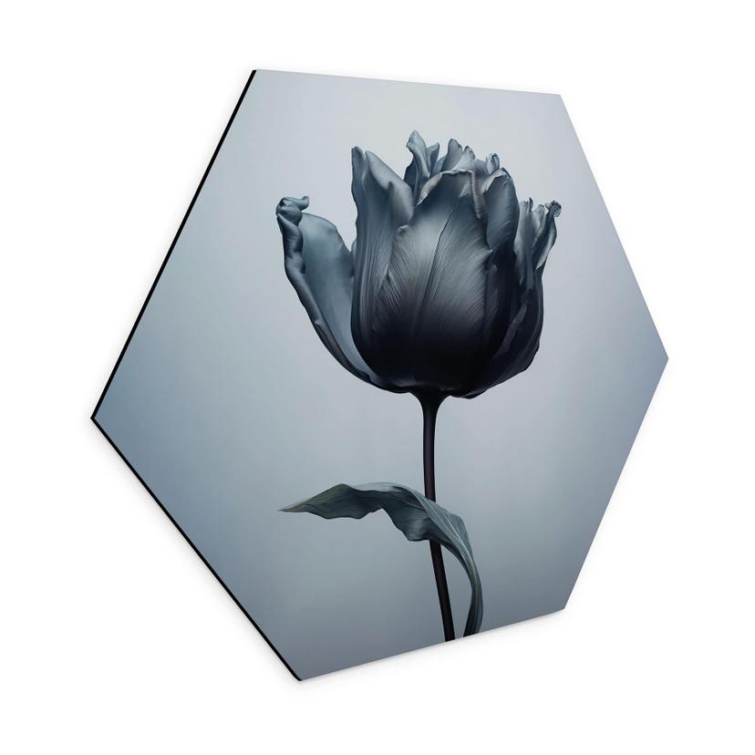 Hexagon Dibond Fløjlsagtig tulipan i sort - Paksoylu