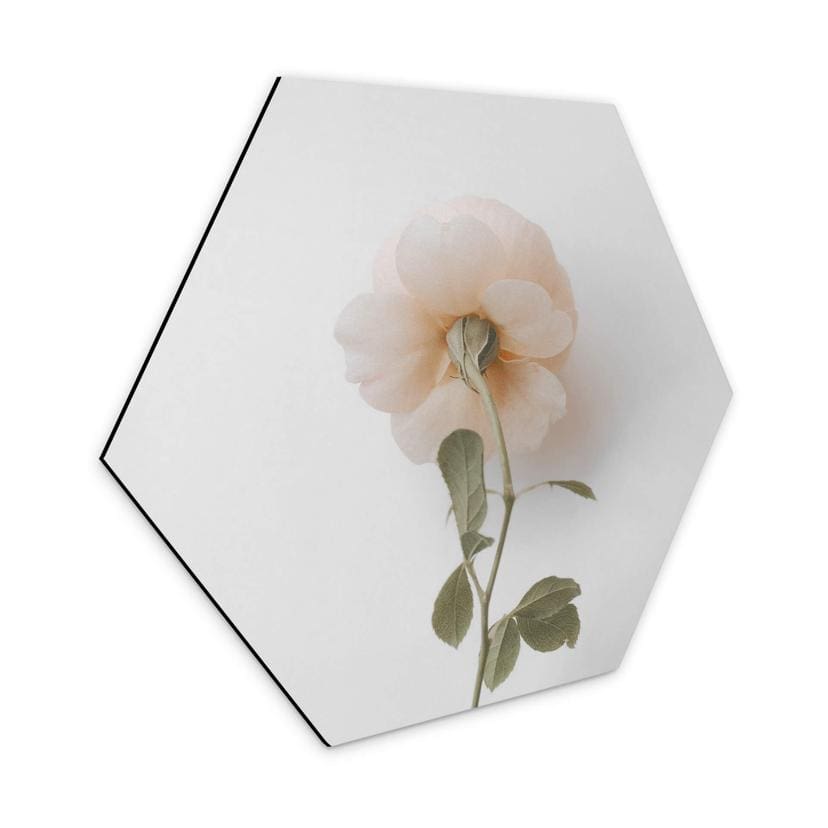 Hexagone - Alu-Dibond Annie - Les roses