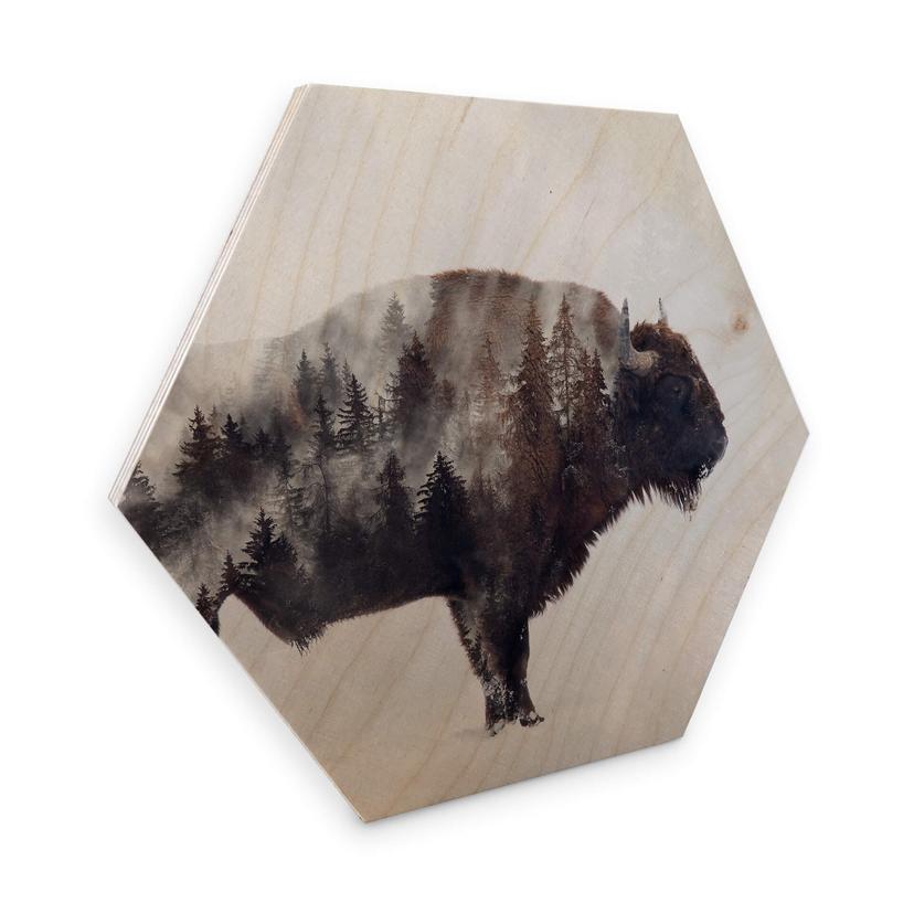Hexagon Hout - Beáta - Bison