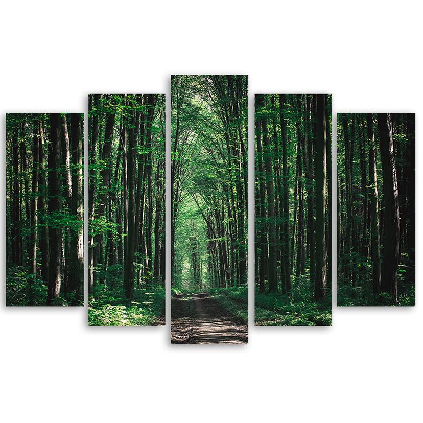 Stampa su tela 5 pezzi, natura verde foresta
