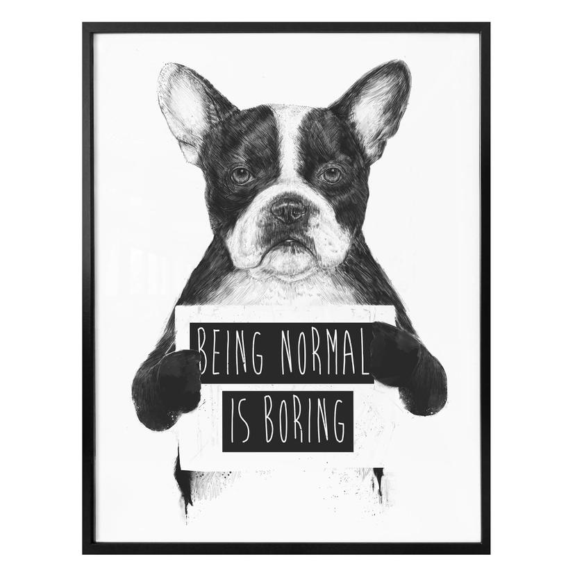 Plakat - Solti - Being normal is boring