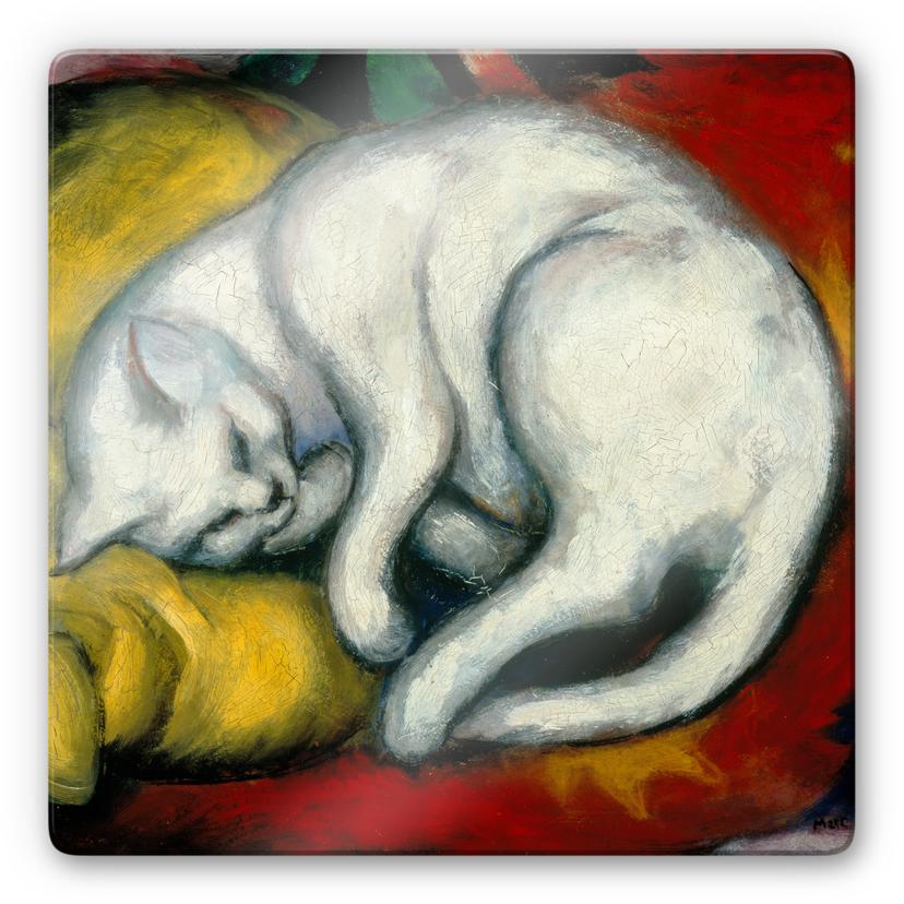Tableau en verre - Marc - Le chat blanc - carré