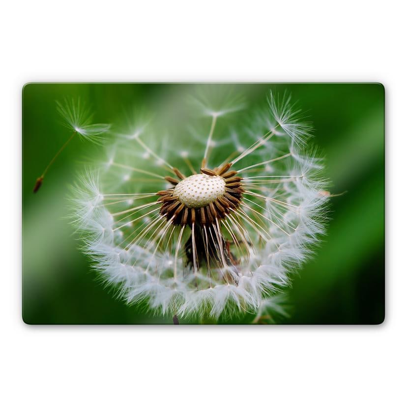 Glasschilderij Dandelions in the Wind