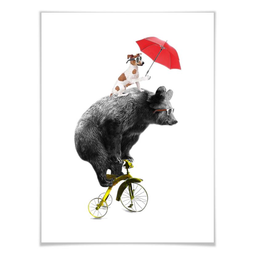 Poster Cyklande björn