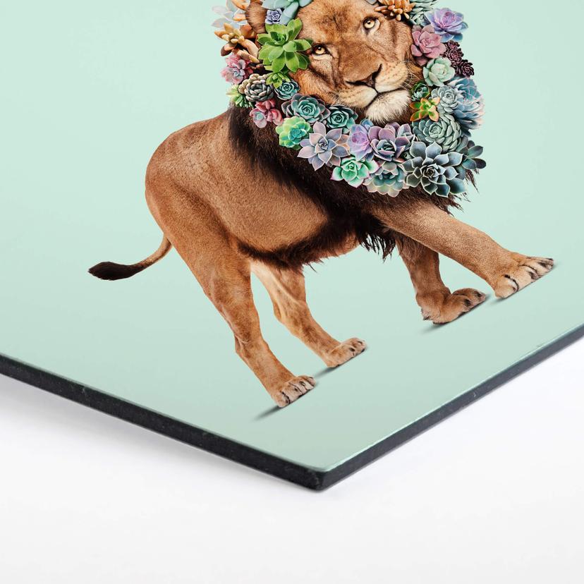 Esagoni Alu-dibond Loose - Succulent Lion