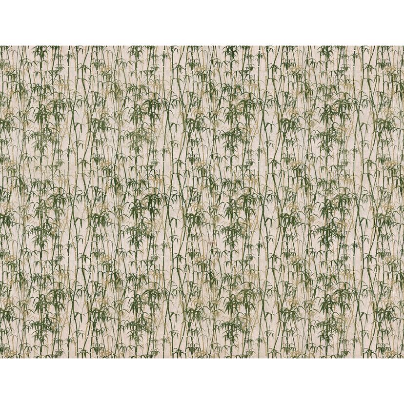 Fotomurale - Bambù verde-beige
