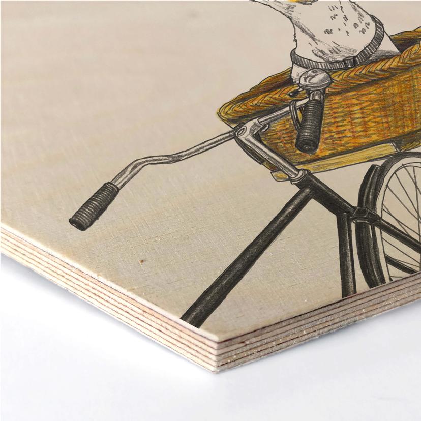 Esagoni in legno Sparshott - Cane