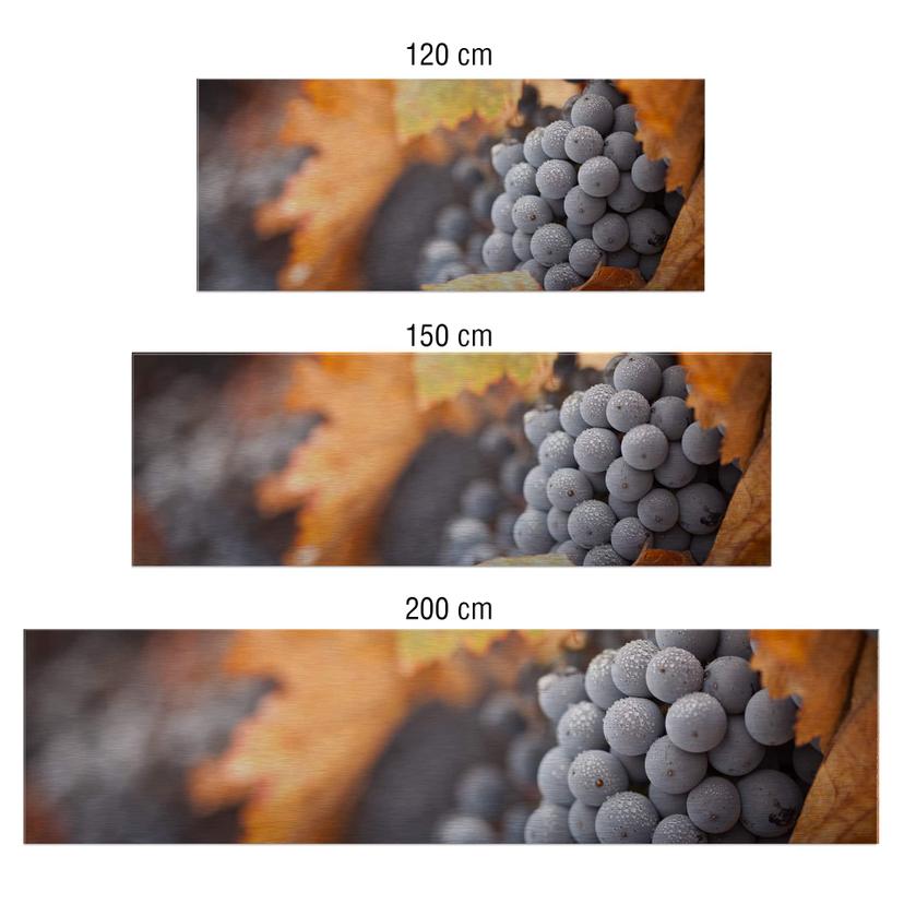 Rivestimento cucina - Alu-Dibond argentato - Vino in autunno