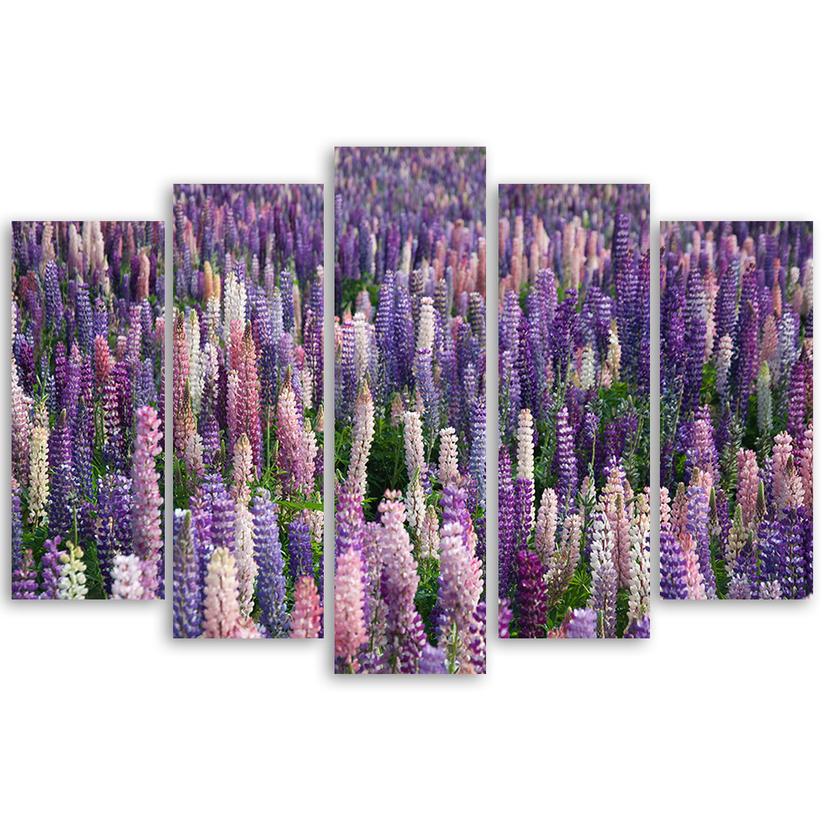 Stampa su tela 5 pezzi, piante di prato fiori lilla
