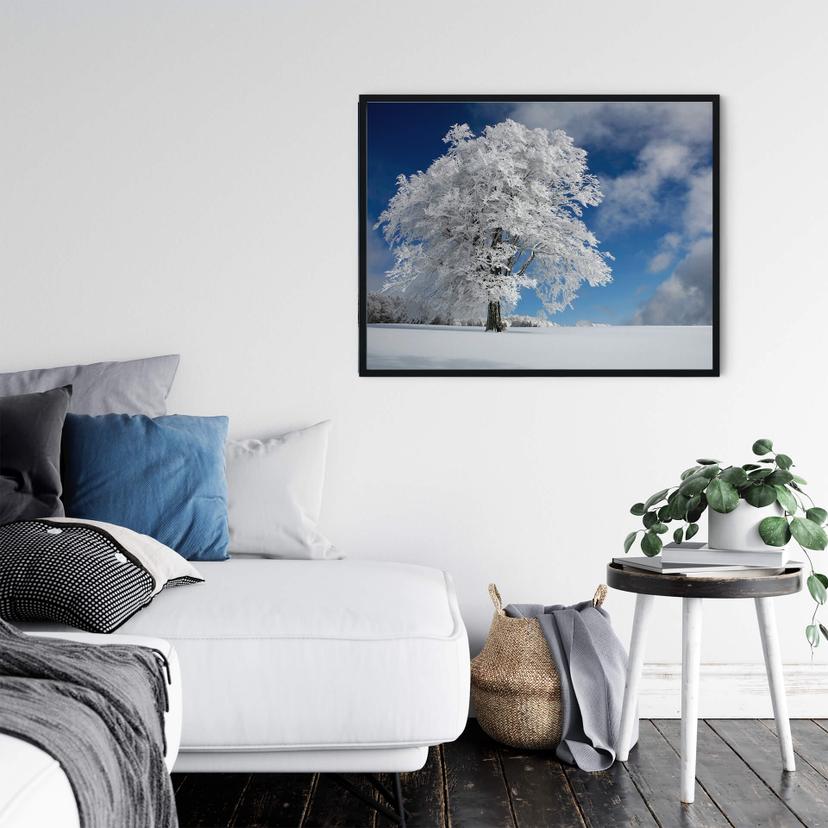 Poster Schumacher - Neve