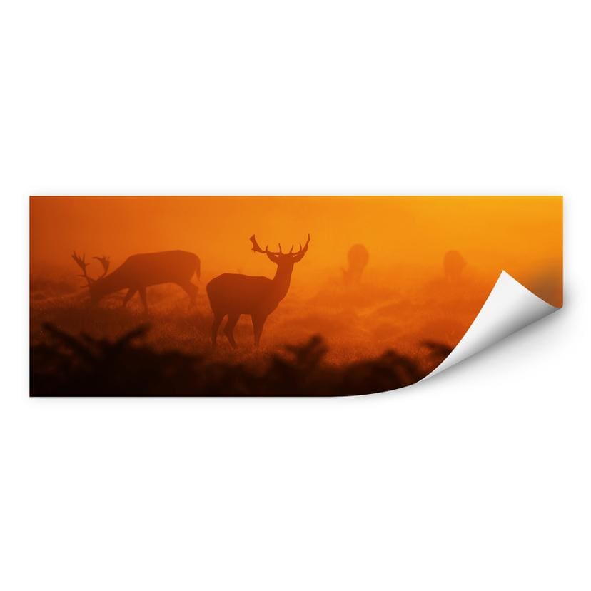 Wallprint Hirsche im Sonnenuntergang - Panorama