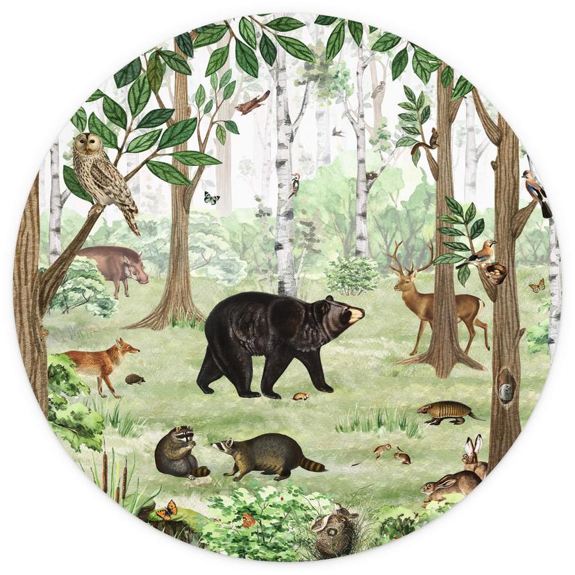 Fotomurale tondo Kikki Belle - Ricerca nella foresta Immagine - carta da parati in tessuto non tessu