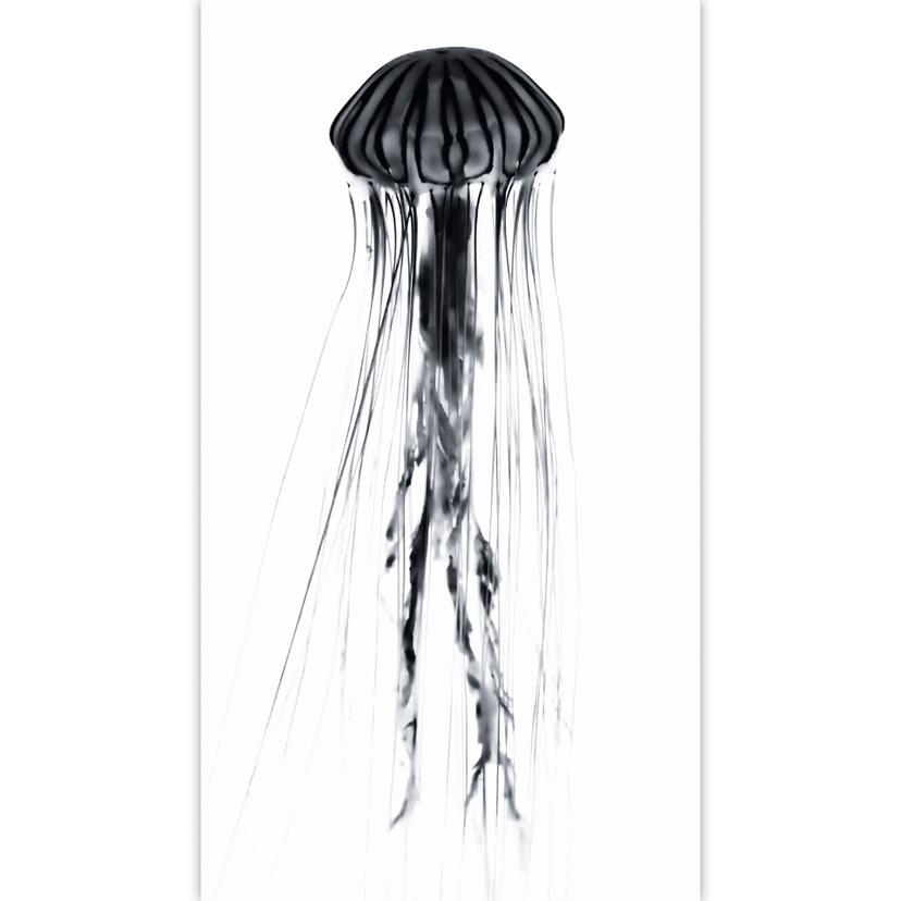 Fotomurale – Medusa