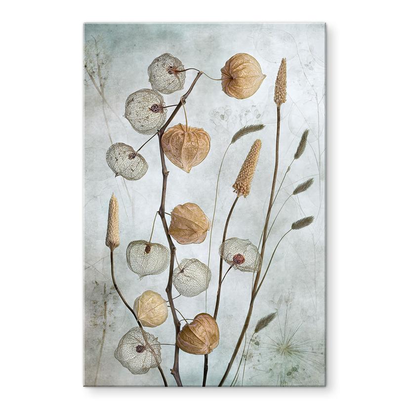 Akrylbillede Tørrede lanterneblomster - Disher