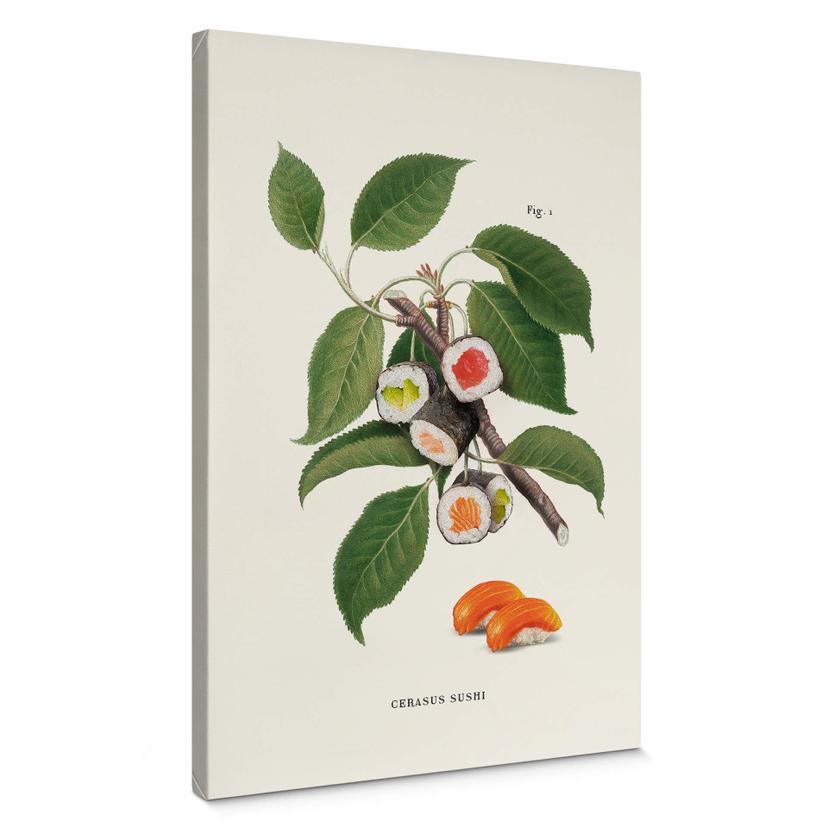 Cuadro en lienzo Suelto - Planta de sushi