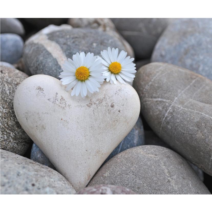 Fotomurale Fiori d'amore