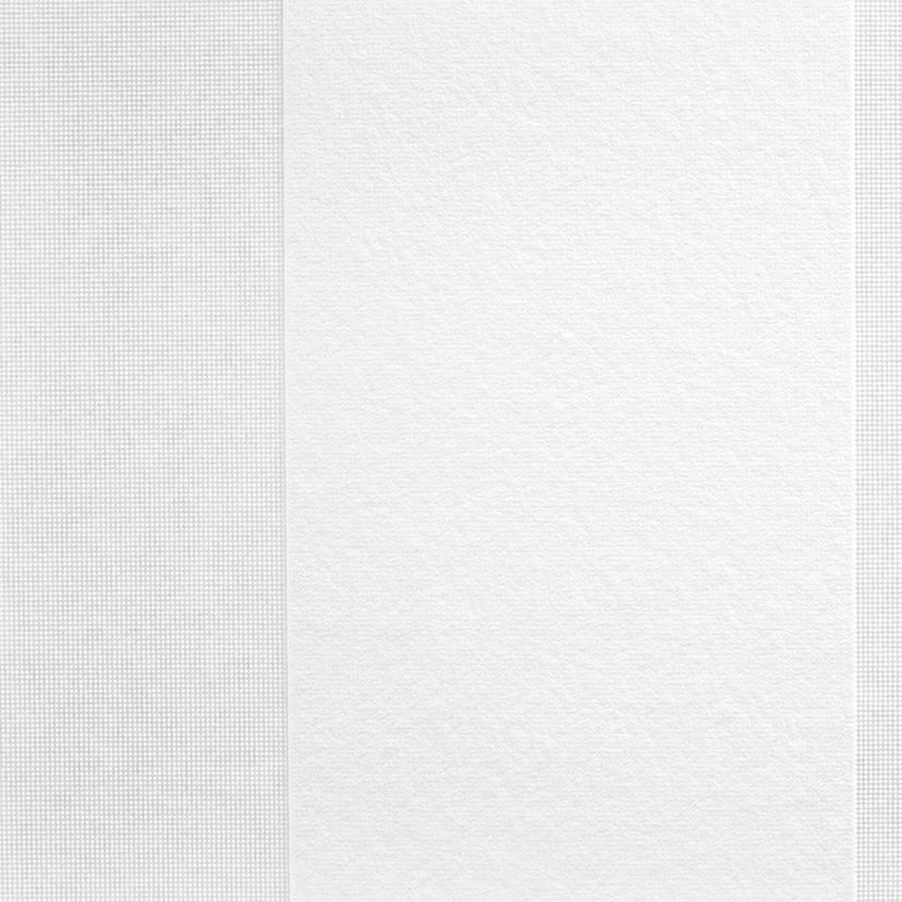 Papier peint intissé couvrant A.S. Création Meistervlies Pro Protect 2 blanc, couvrant