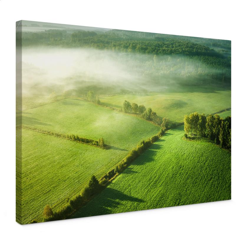Leinwandbild Idyllische Felder im Nebel | Natur | Wohnzimmer - Keller
