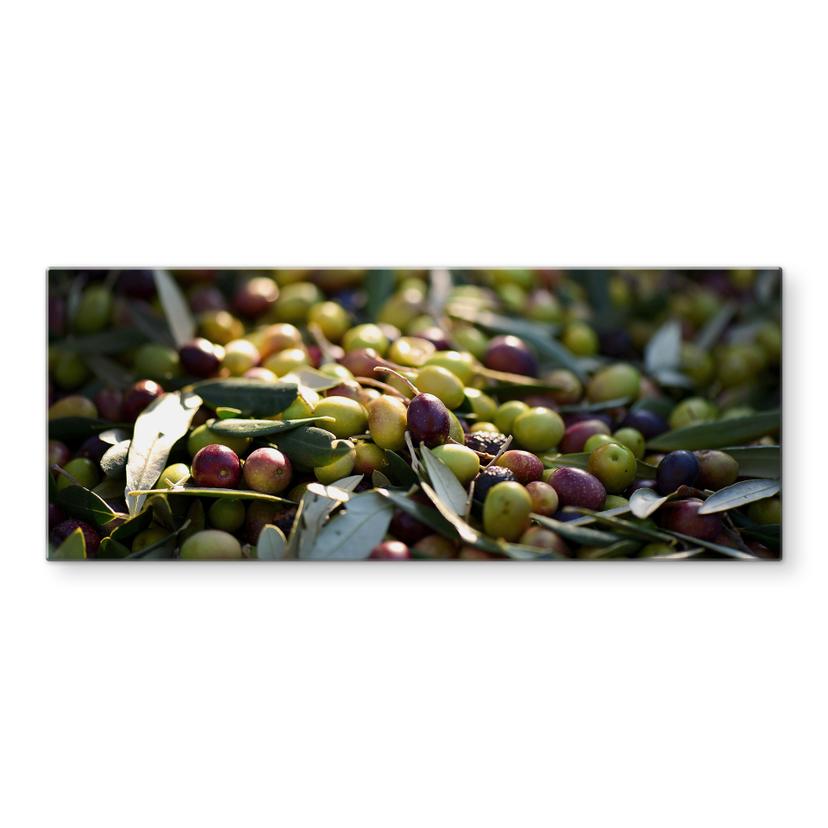 Pannello paraschizzi - Olive del Mediterraneo - panoramica
