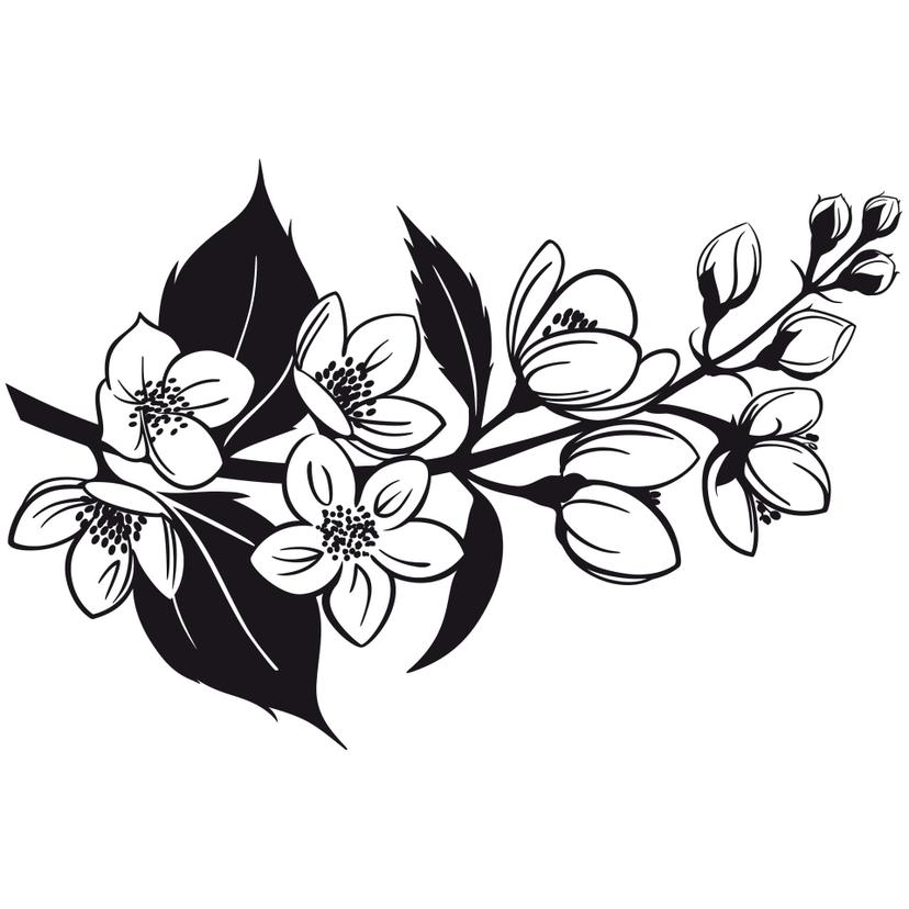 Sticker mural - Fleurs de Cerisier 2