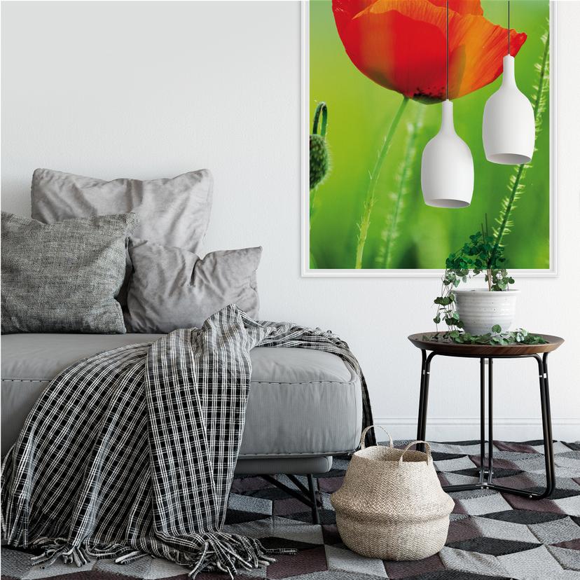 Poster autocollant - W - Coquelicot