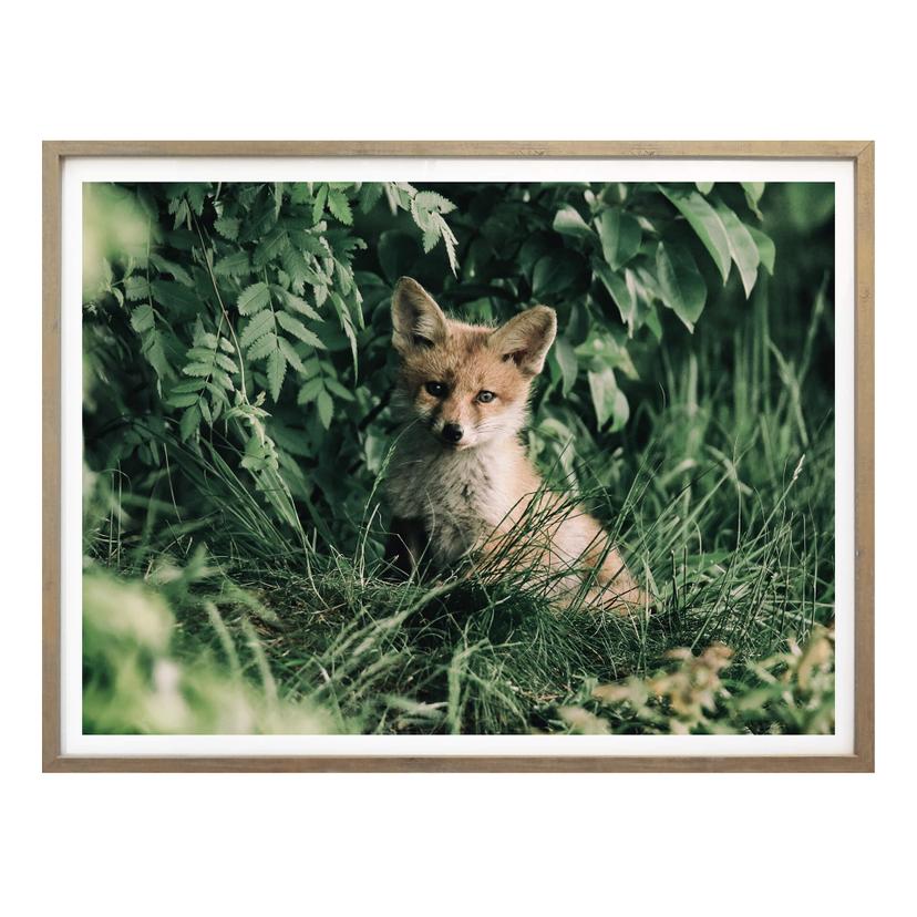 Póster Solo en el bosque