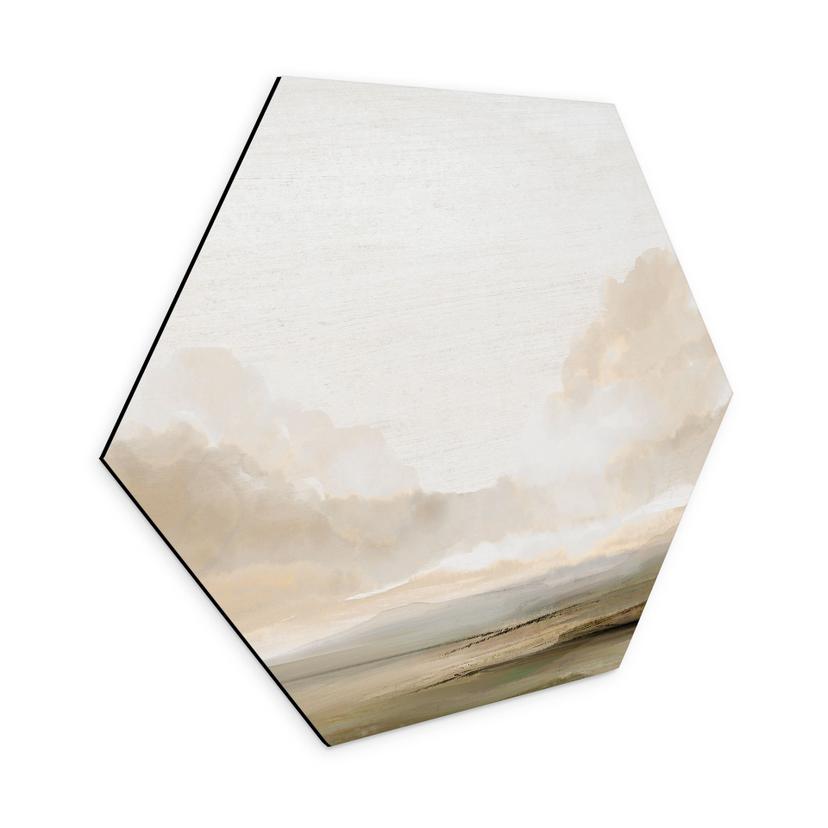 Hexagon Dibond Skyer på himlen - Hobday