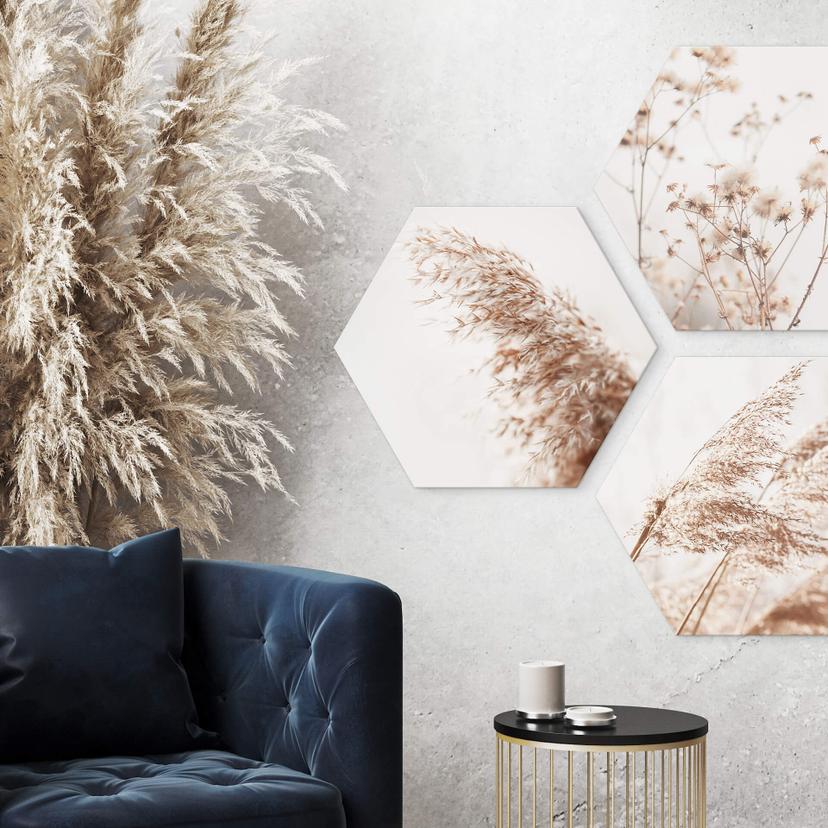 Esagoni in Alu-dibond - Pampas grass