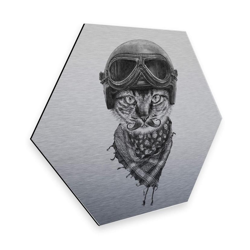 Hexagon - Alu-Dibond zilver effect Kools - Biker Cat