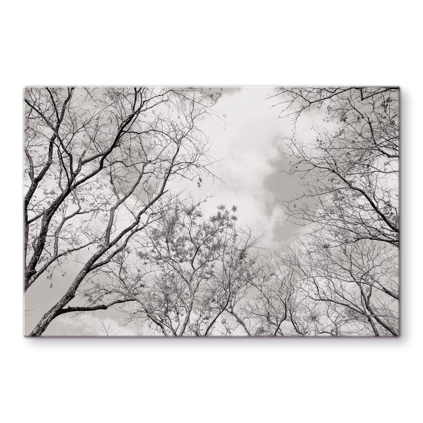 Spatscherm High in the Trees