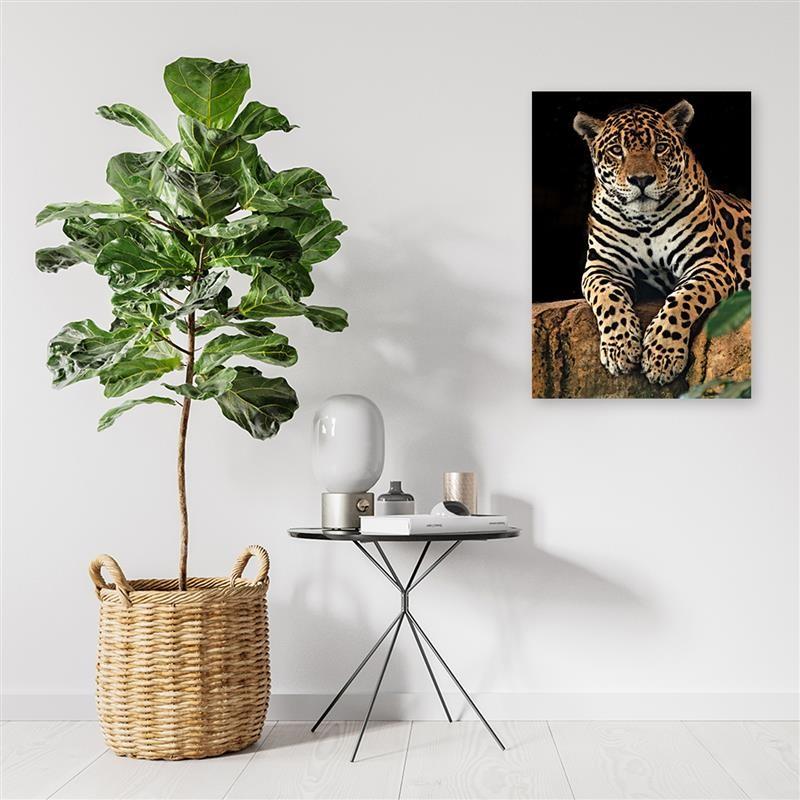 Stampe su tela, Animali leopardo