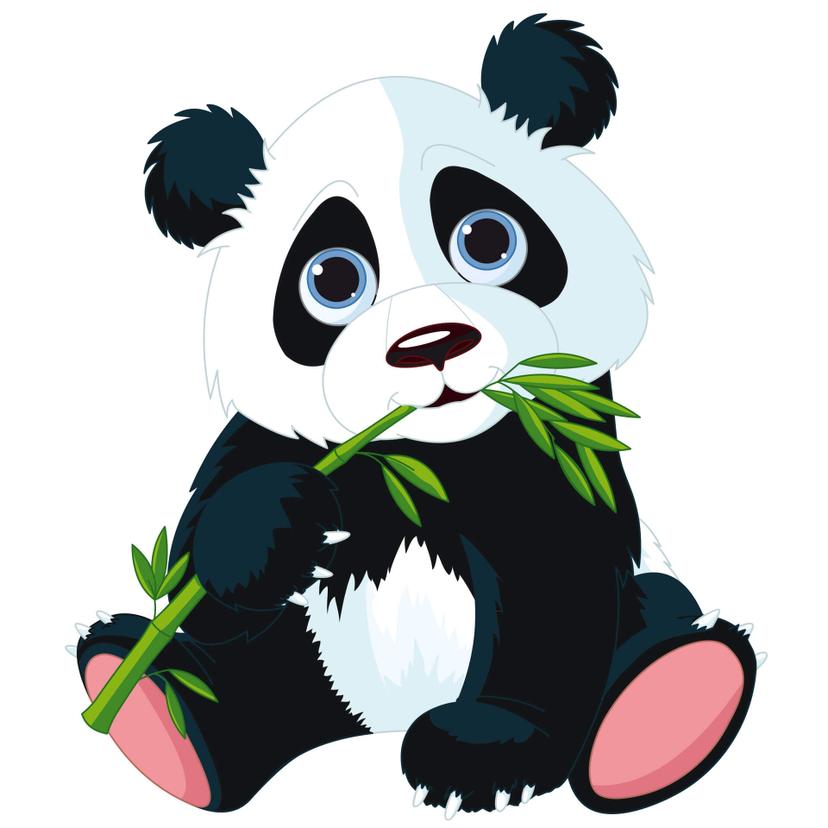Adesivo murale - Panda che mangia