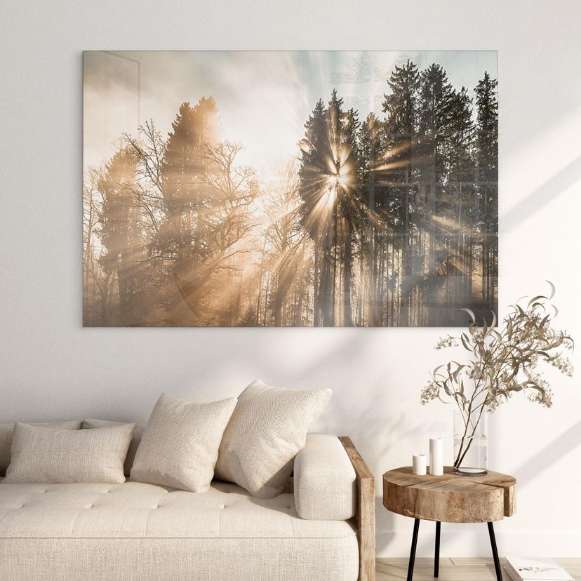 Tableau en verre acrylique Rayons de lumière dans la forêt - Eisenmann