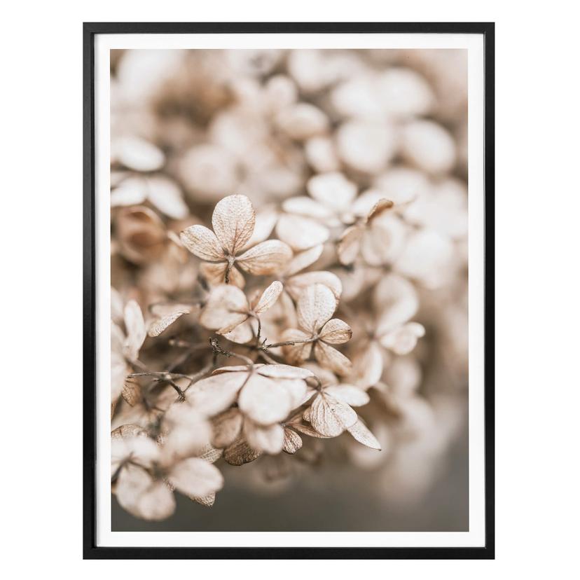 Plakat - Annie - Velvet Flowers