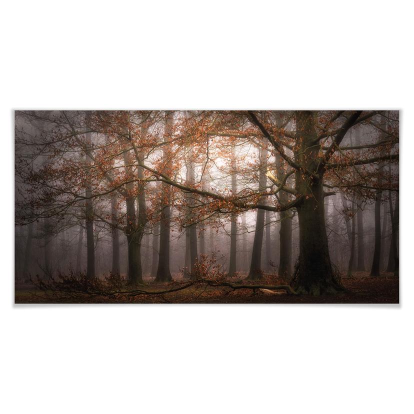 Póster Dingemans - Niebla en el bosque de otoño - Panorama