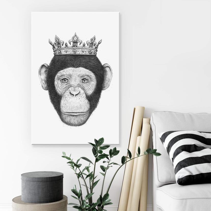 Stampa su tela Korenkova - Monkey