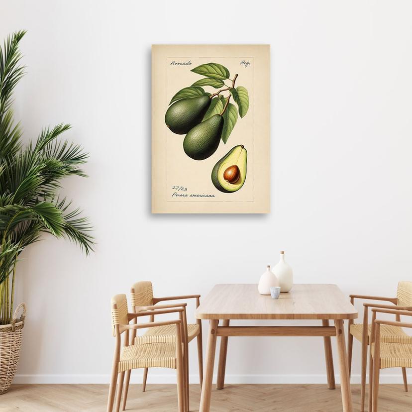 Canvasbillede, frugthøst avocado