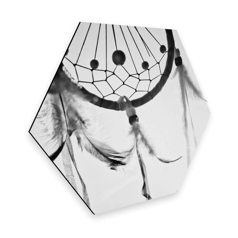 Hexagon Dibond - Dromenvanger