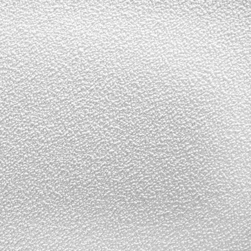 Papier peint intissé couvrant A.S. Création Meistervlies Pro Protect 2 blanc