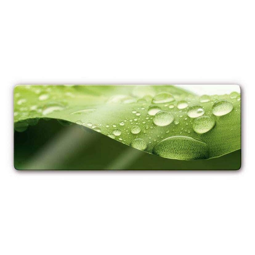 Tableau en verre - Nature 3 - Panorama