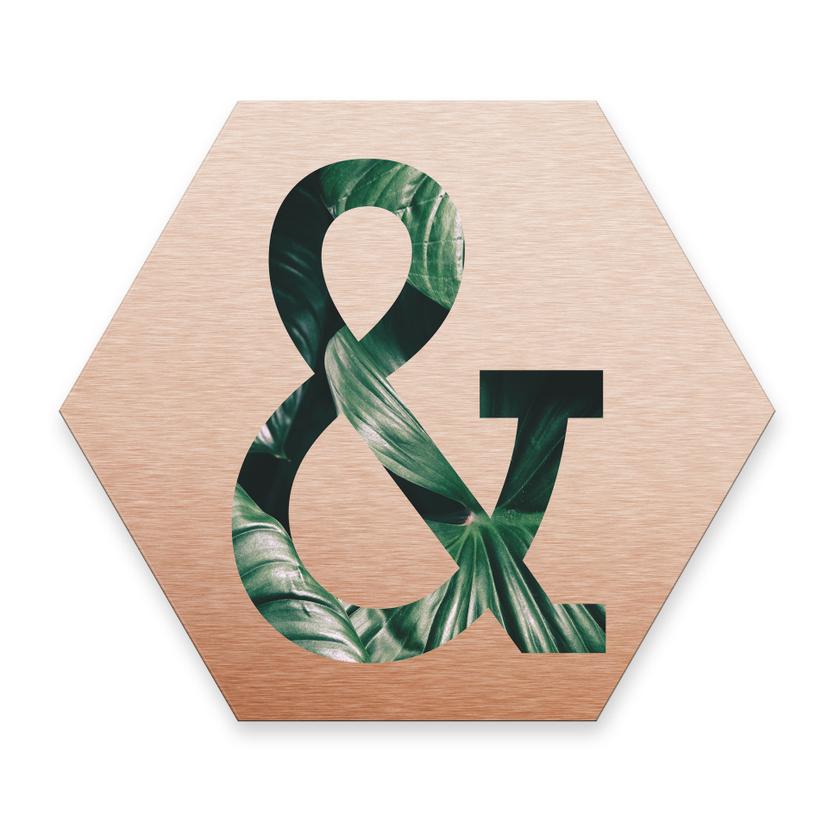 Hexagon bogstaver - Alu-dibond Kobber, Jungle "&"