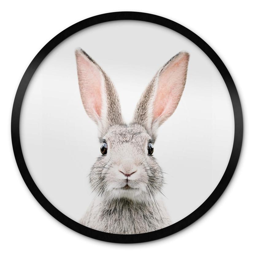 Plakat Sisi & Seb - Bunny