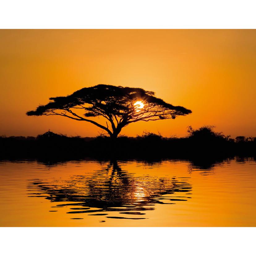 Fotomurale - Tramonto africano