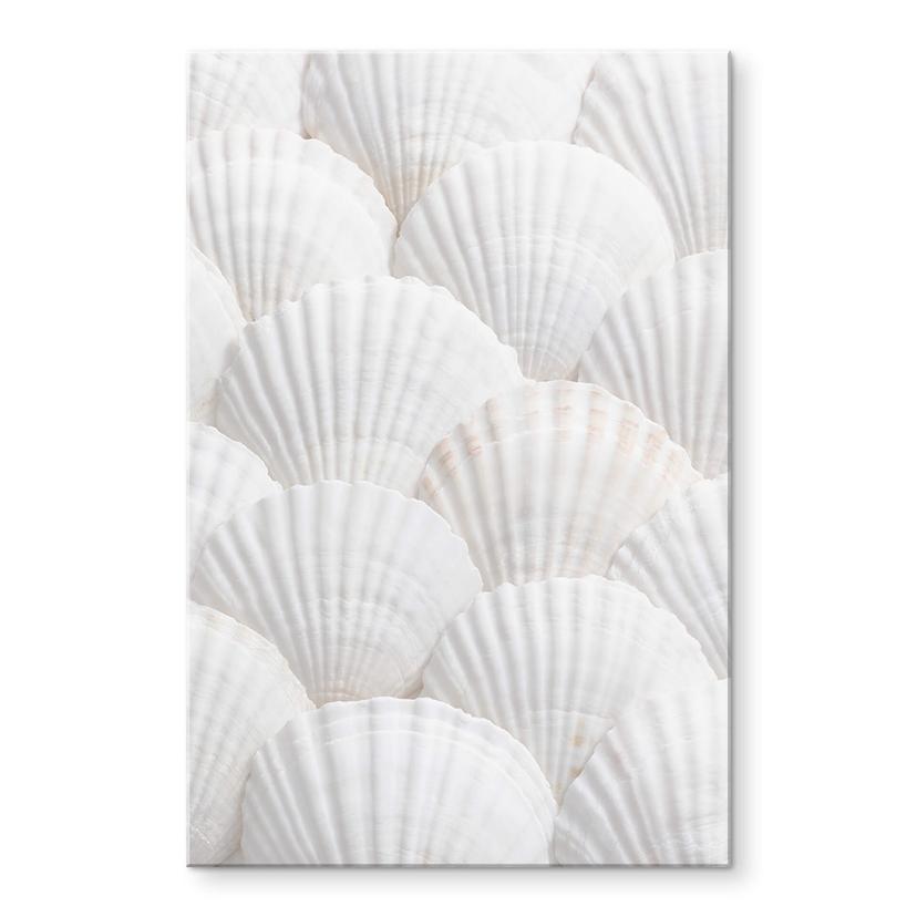 Akrylbillede 1X Studio - Shell ensemble