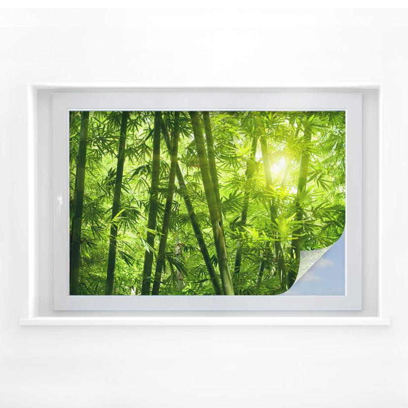 Película de privacidad Sunshine in the bamboo forest (Sol en el bosque de bambú)