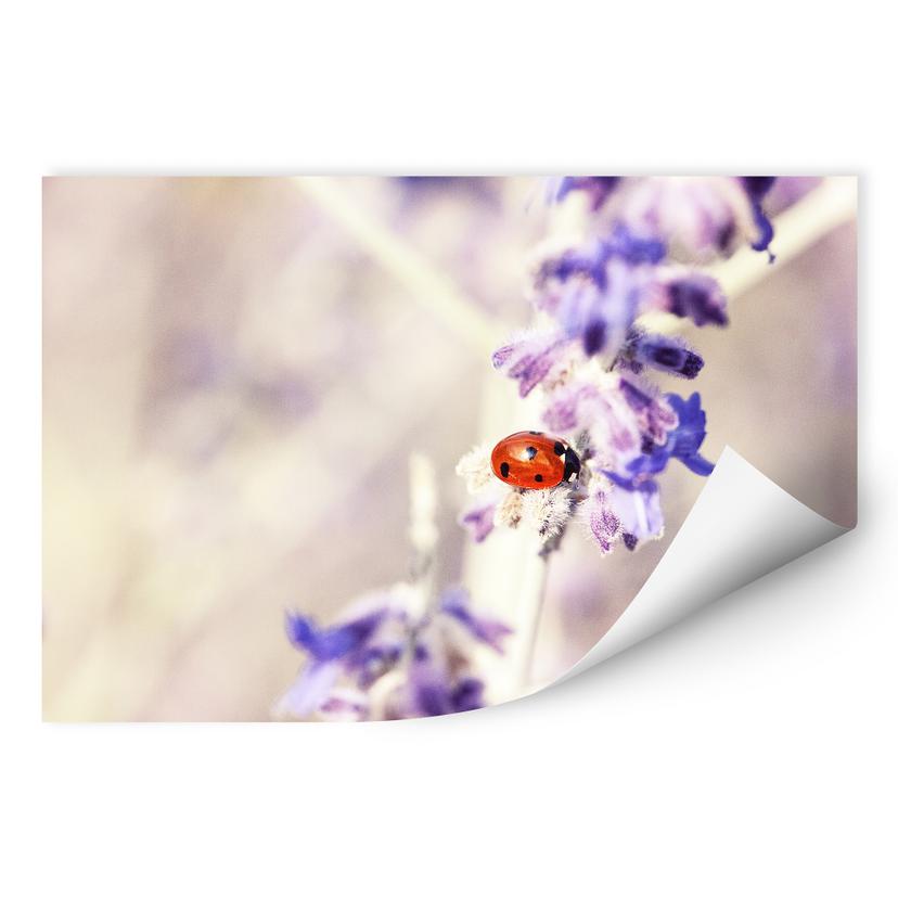 Zelfklevende Poster Little Friend
