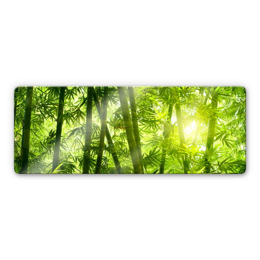 Tableau en verre - Rayon de soleil dans la forêt de bambous - Panorama