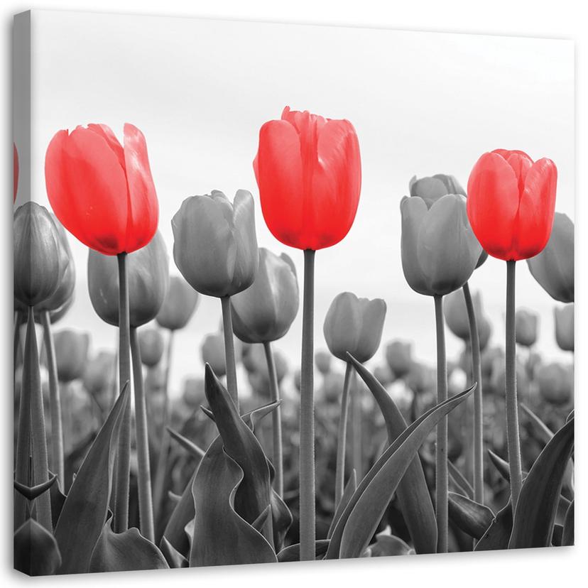 Canvasbillede, Røde tulipaner på en eng