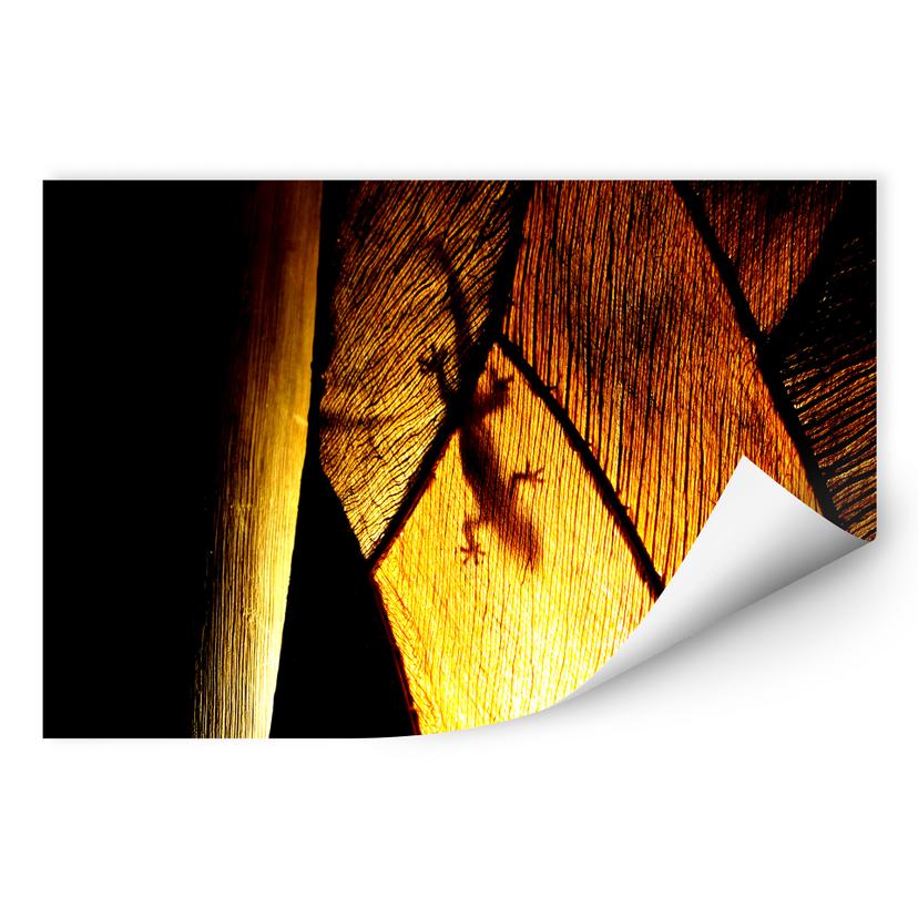 Zelfklevende Poster - Shadow Play